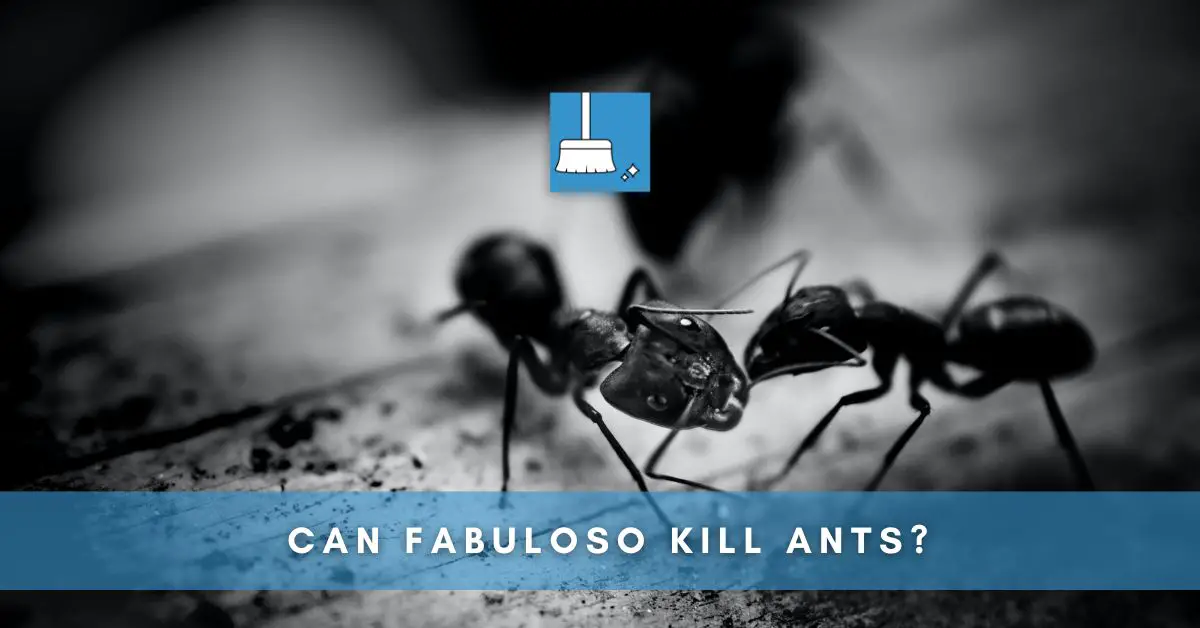 Can Fabuloso kill ants
