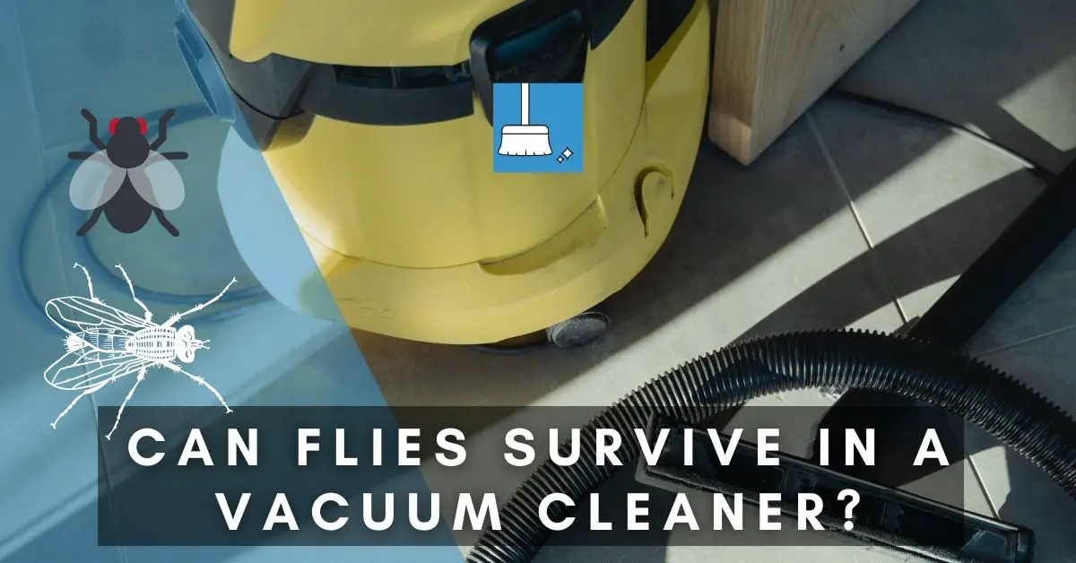 Can Flies Survive in a Vacuum Cleaner-min
