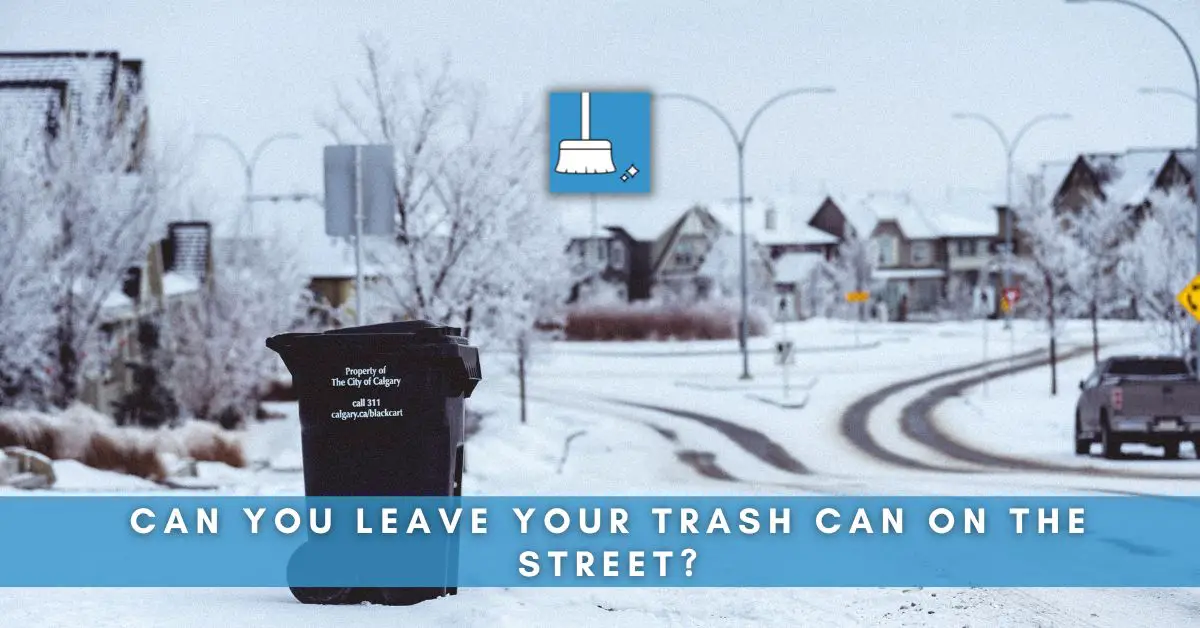 Can You Leave Your Trash Can on the Street