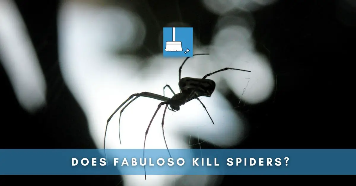 Does Fabuloso Kill Spiders