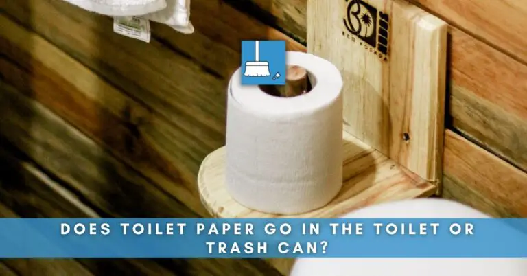 Does Toilet Paper Go In The Toilet Or Trash Can? (Explained)