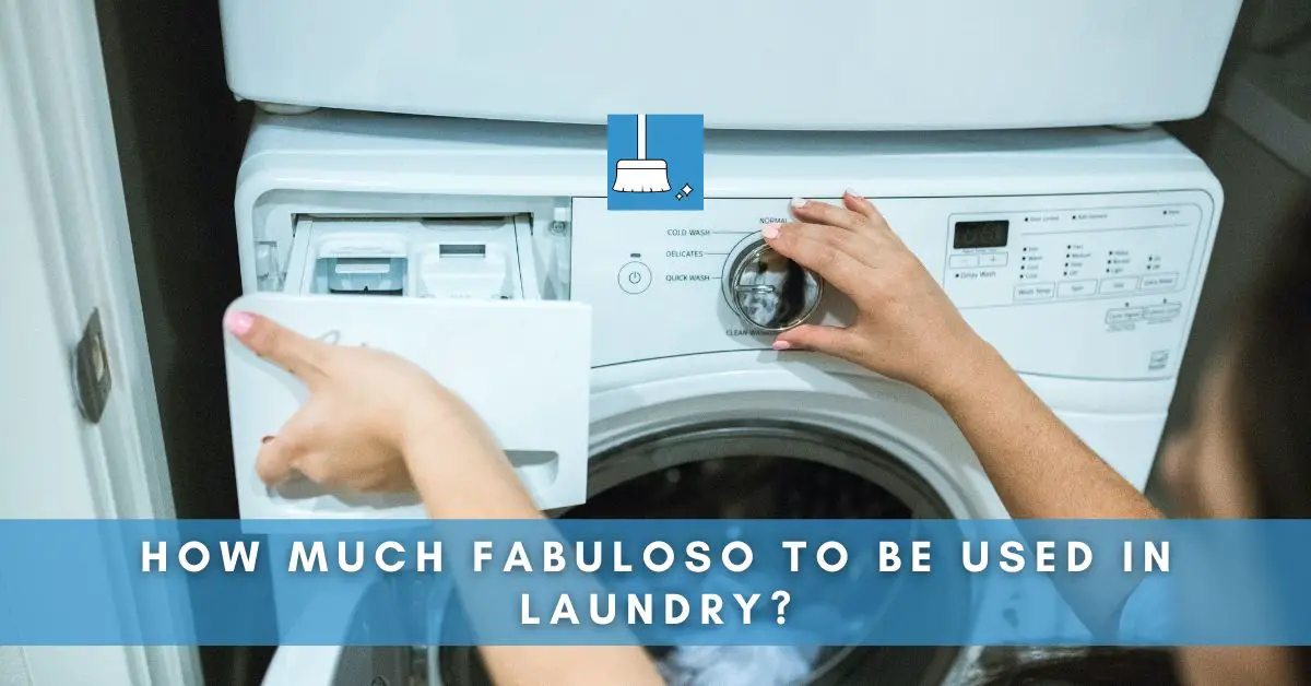 How Much Fabuloso in Laundry