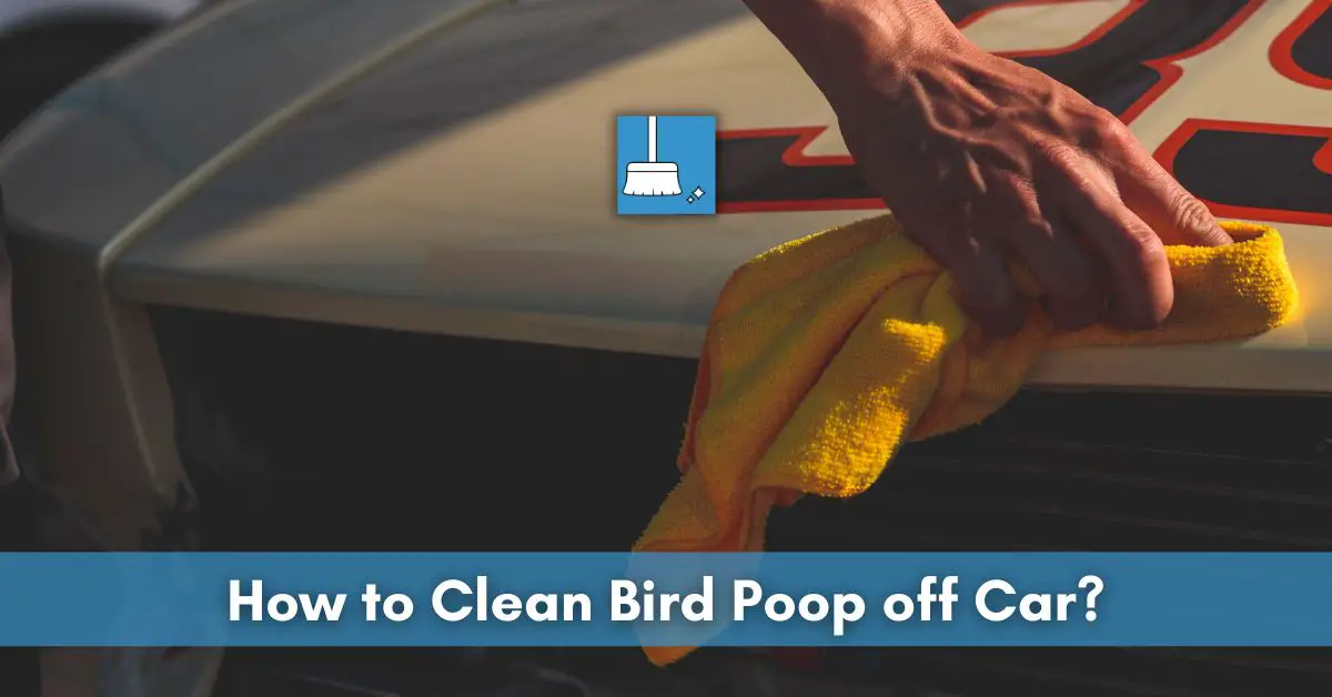 How to Clean Bird Poop off Car