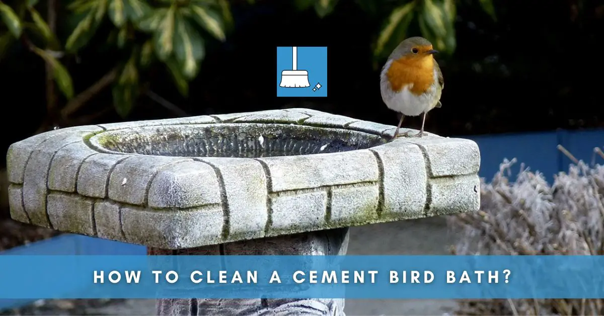 How to Clean a Cement Bird Bath