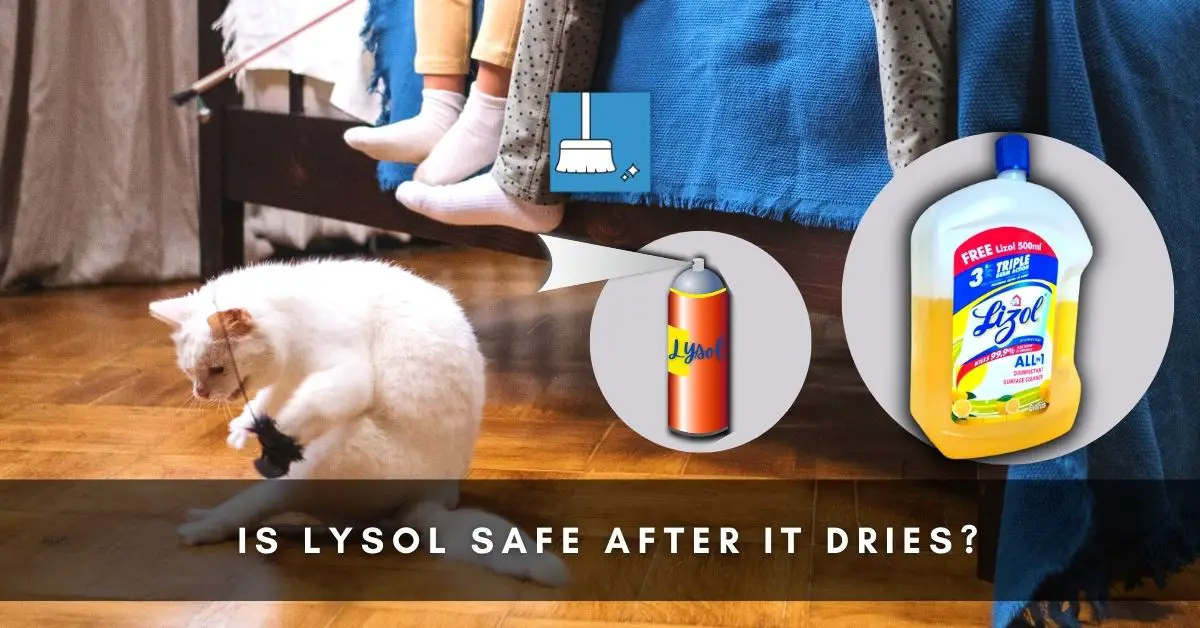 Is Lysol safe after it dries