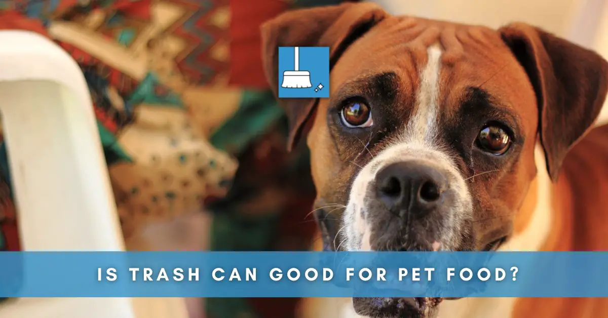 Is Trash Can Good for Pet Food