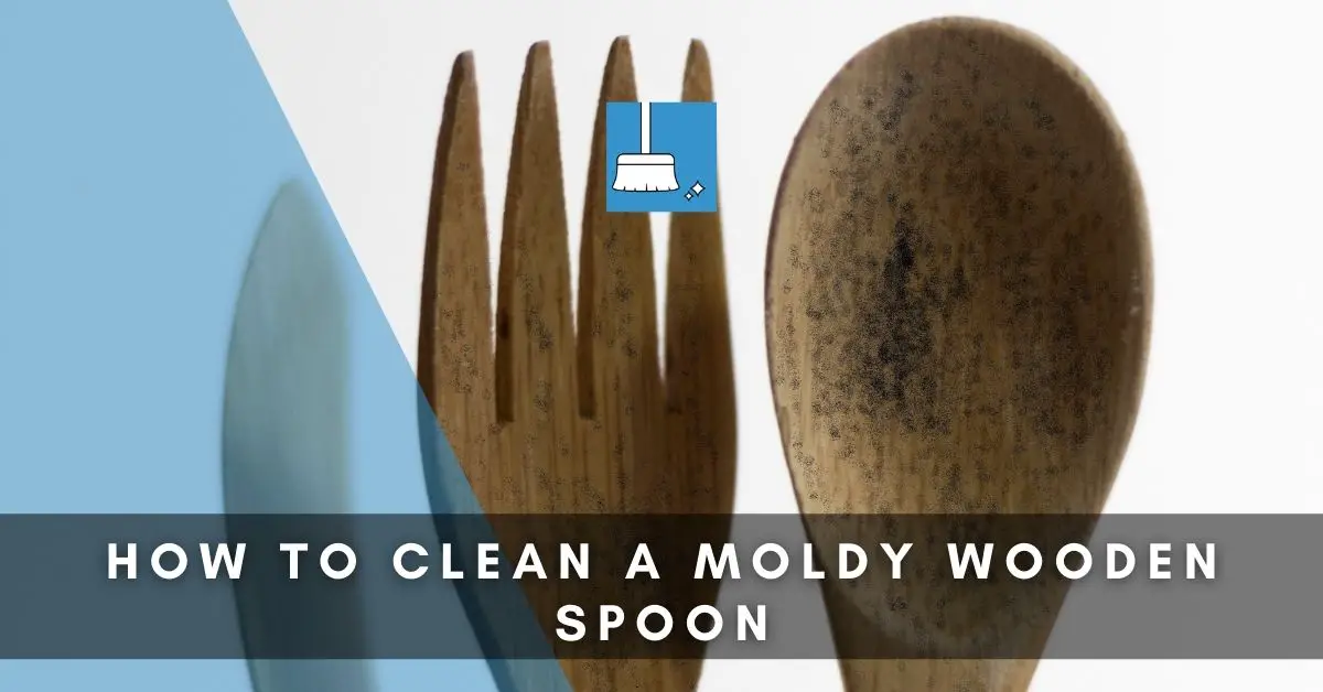 Moldy Wooden Spoon Cleaning