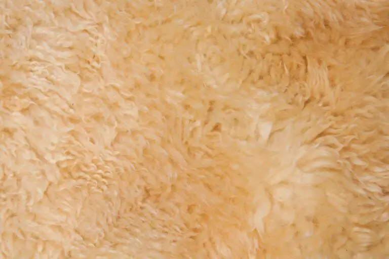 5 Steps How To Clean A Sheepskin Rug (Quick Guide)