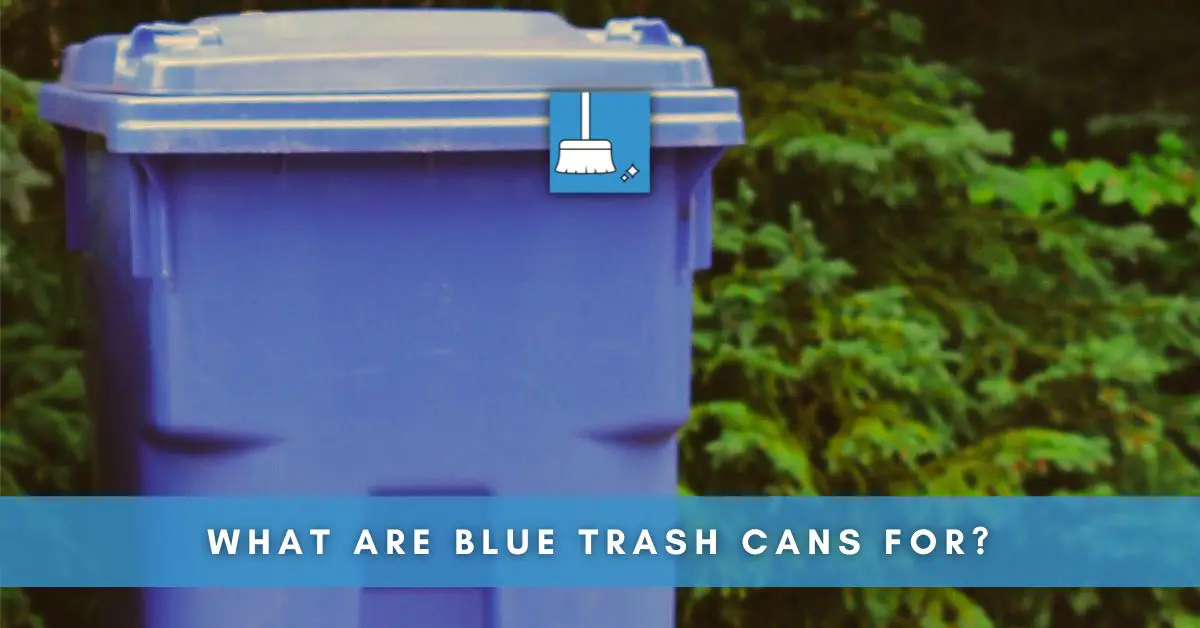What Are Blue Trash Cans For