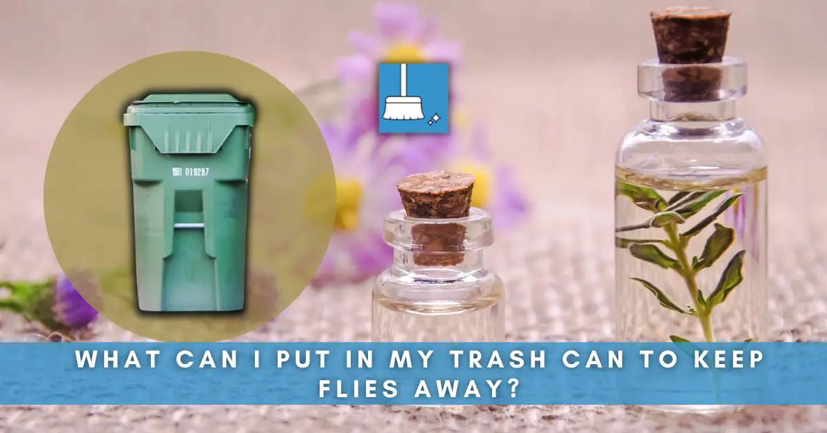 What Can I Put In My Trash Can to Keep Flies Away