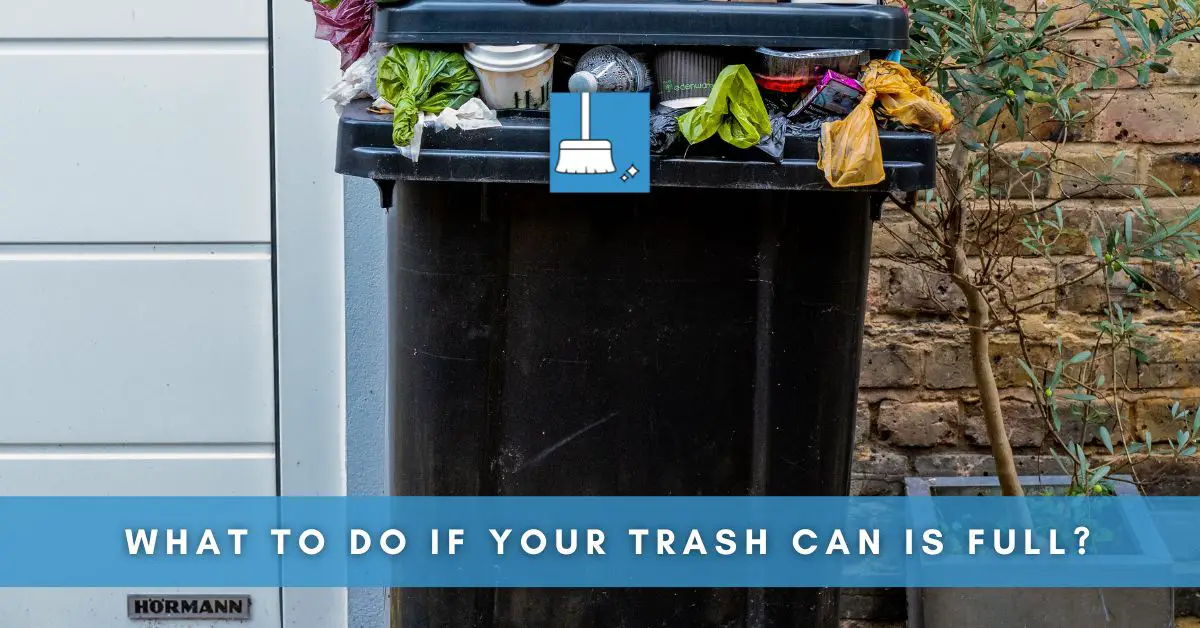 What to Do If Your Trash Can Is Full