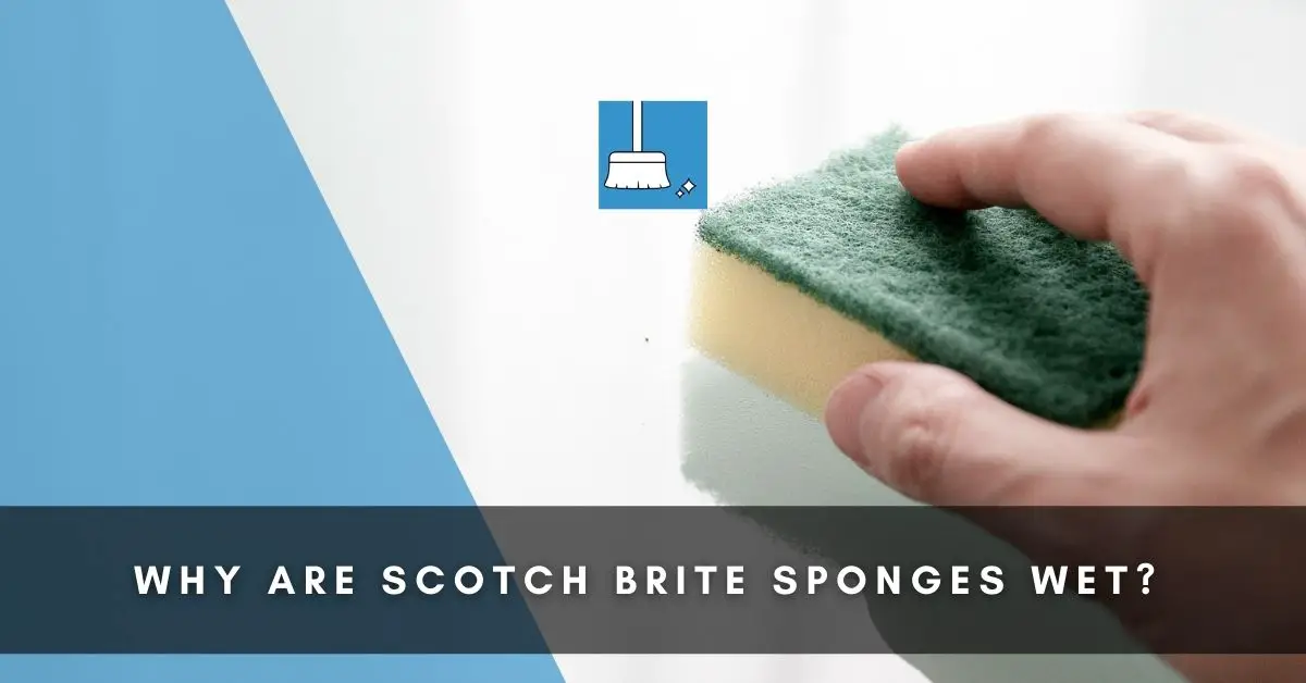 Why are scotch brite sponges wet