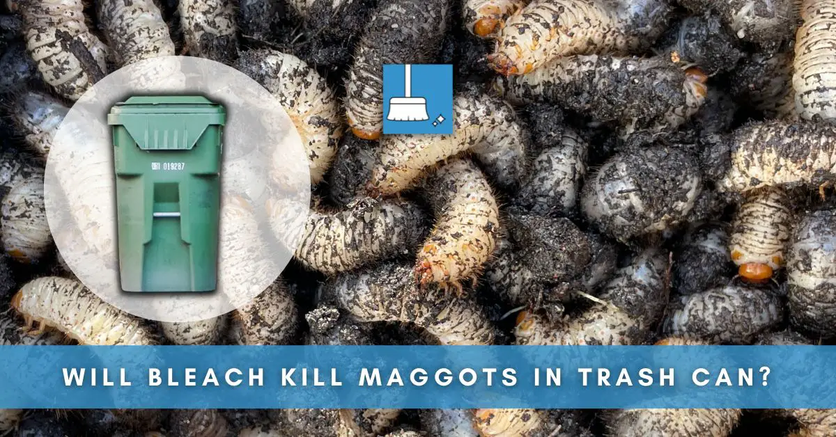Will Bleach Kill Maggots in a Trash Can