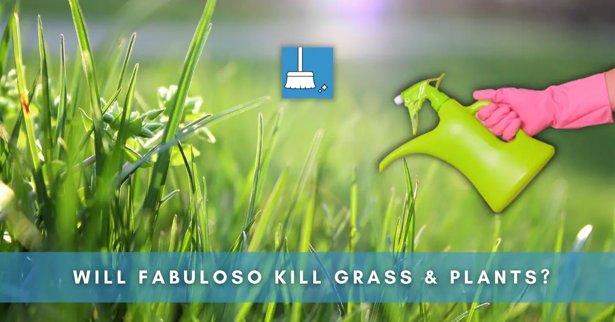 Will Fabuloso Kill Grass & Plants