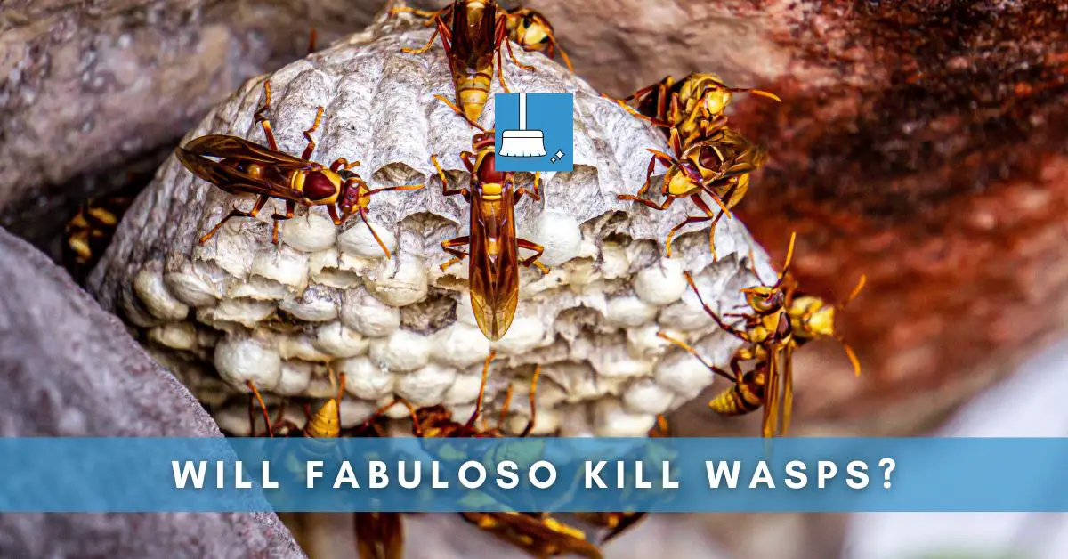 Will Fabuloso Kill Wasps