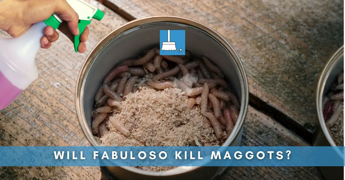 Will Fabuloso kill maggots