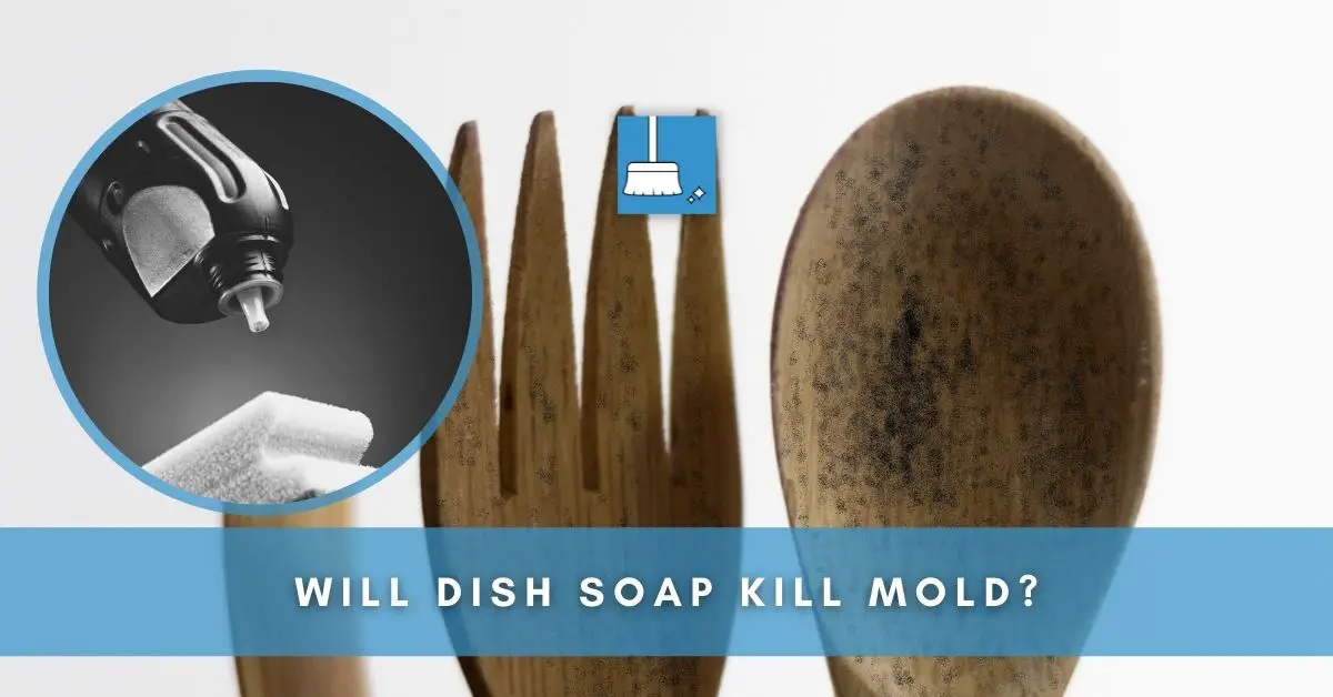 can Dish Soap Kill Mold