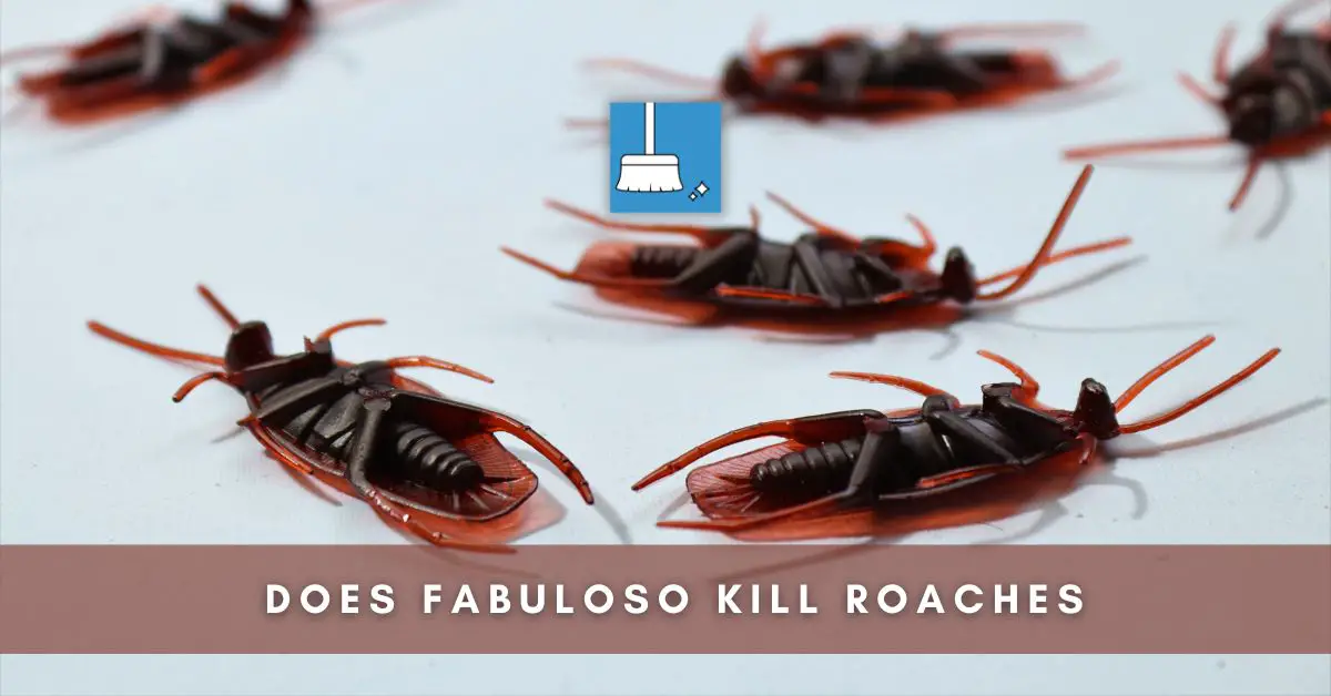 does fabuloso kill roaches