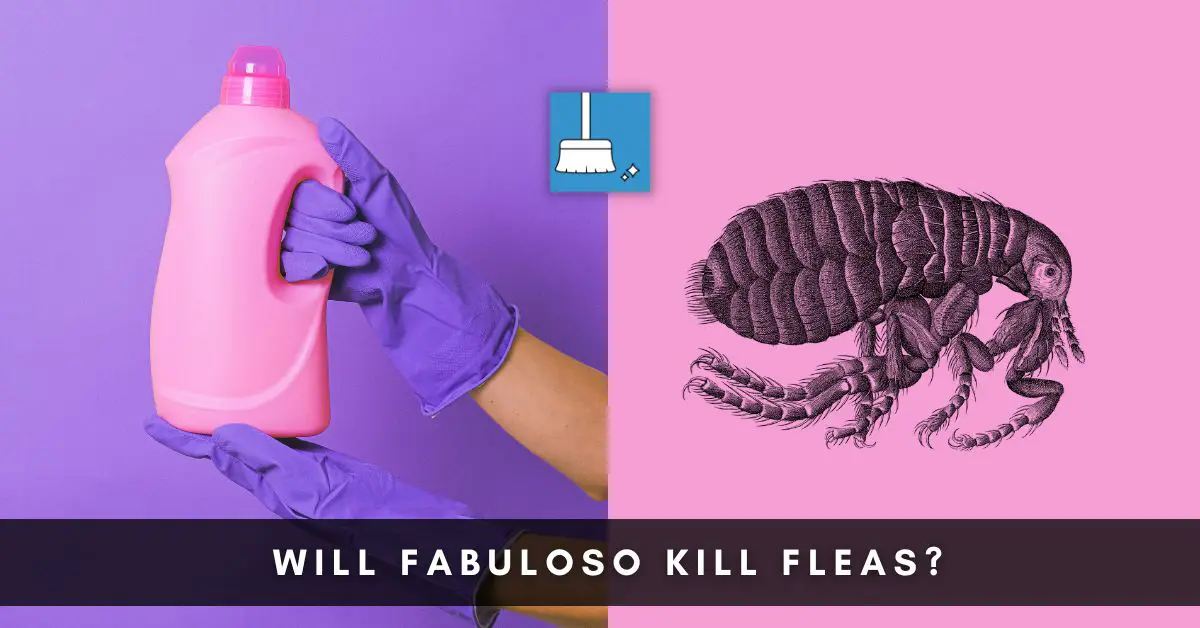 will fabuloso kill fleas